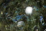 Flashy, Polished Labradorite Sphere - Madagascar #176578-4